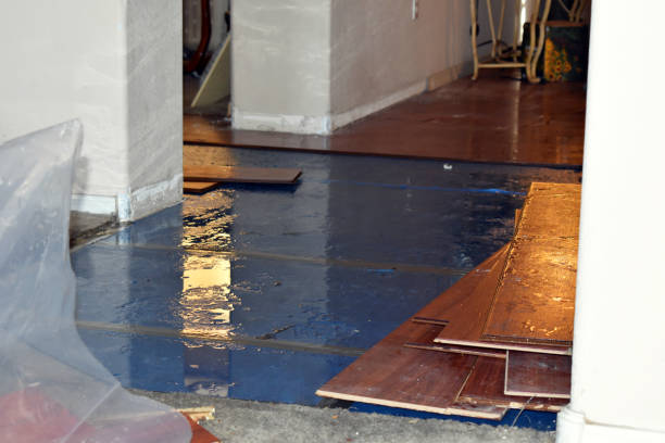 Professional Water Damage Repair technician working in Adelphi, OH